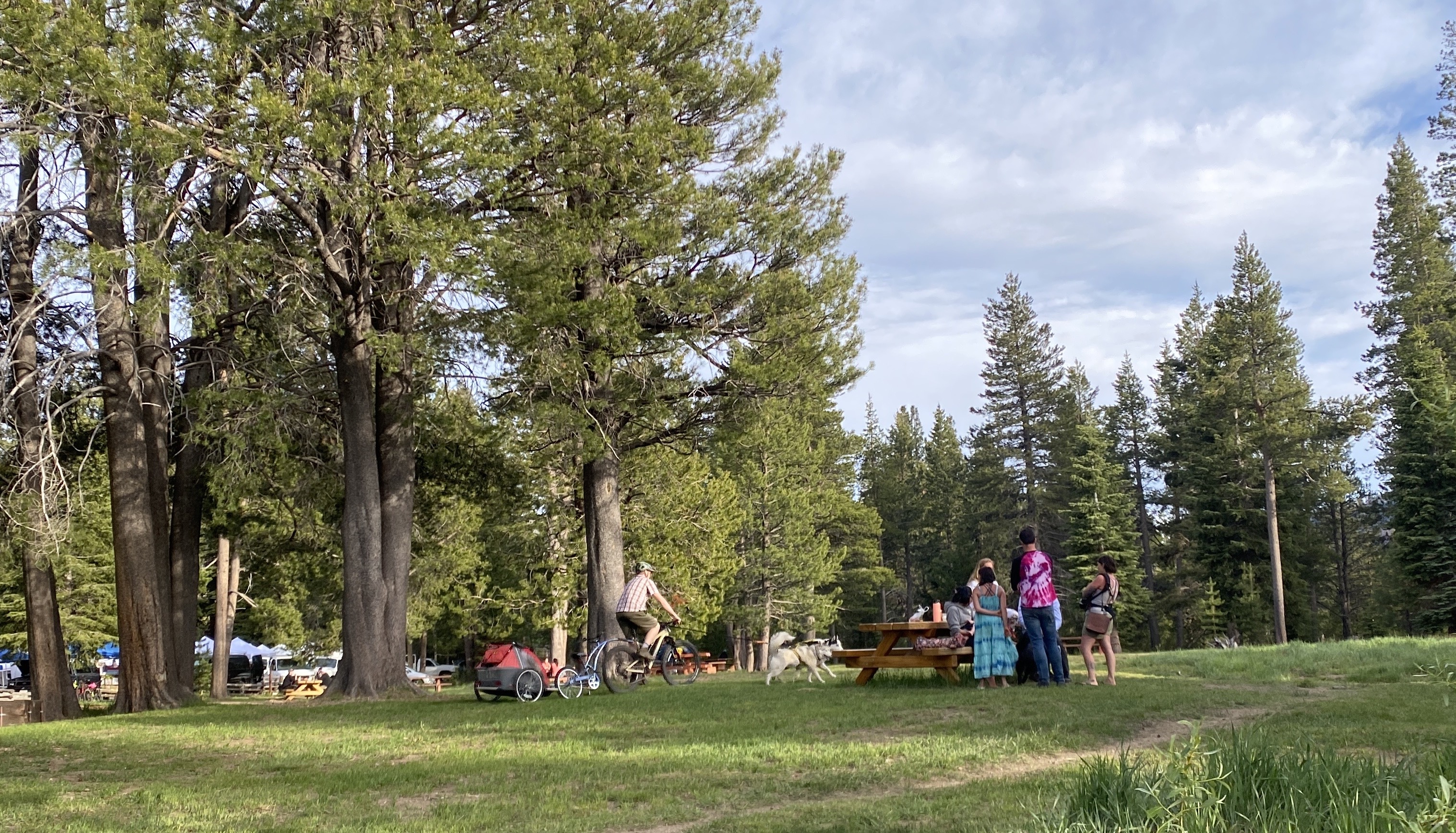 Tahoe Paradise Park